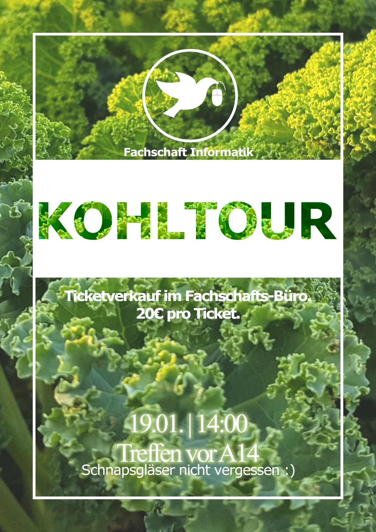 blog:kohltour_19.1.18_klein.jpg